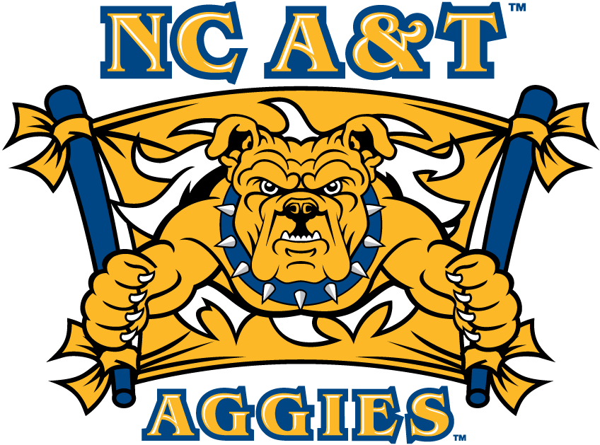 North Carolina A&T Aggies 2006-Pres Secondary Logo v2 iron on transfers for T-shirts